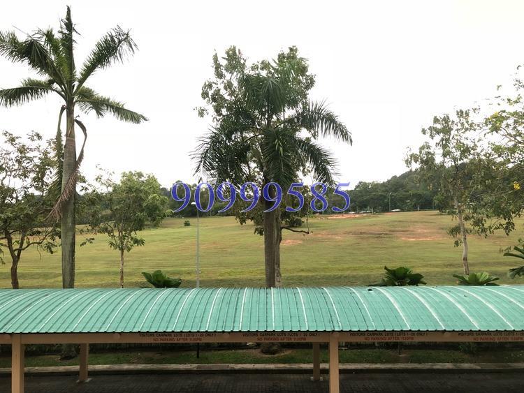Woodgrove Condominium (D25), Condominium #167181072